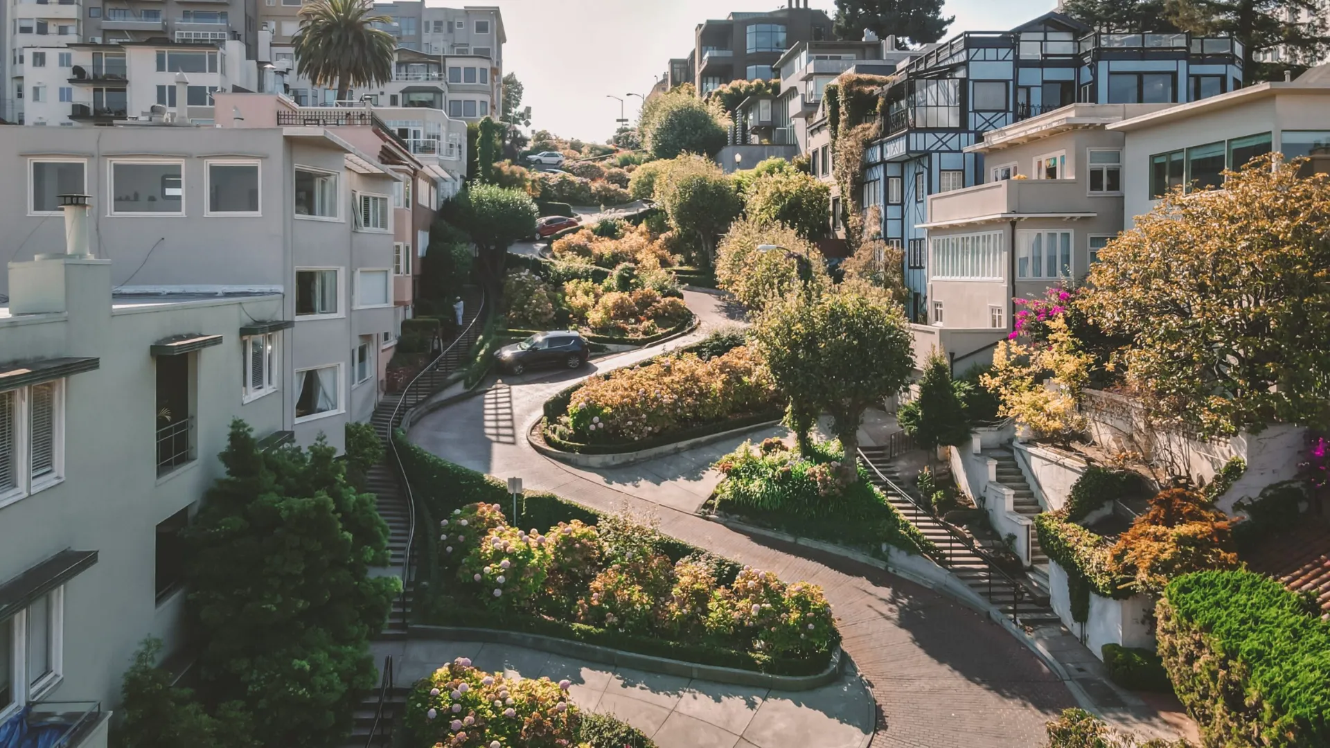 San Francisco’s Unique Dating Culture Hotspots