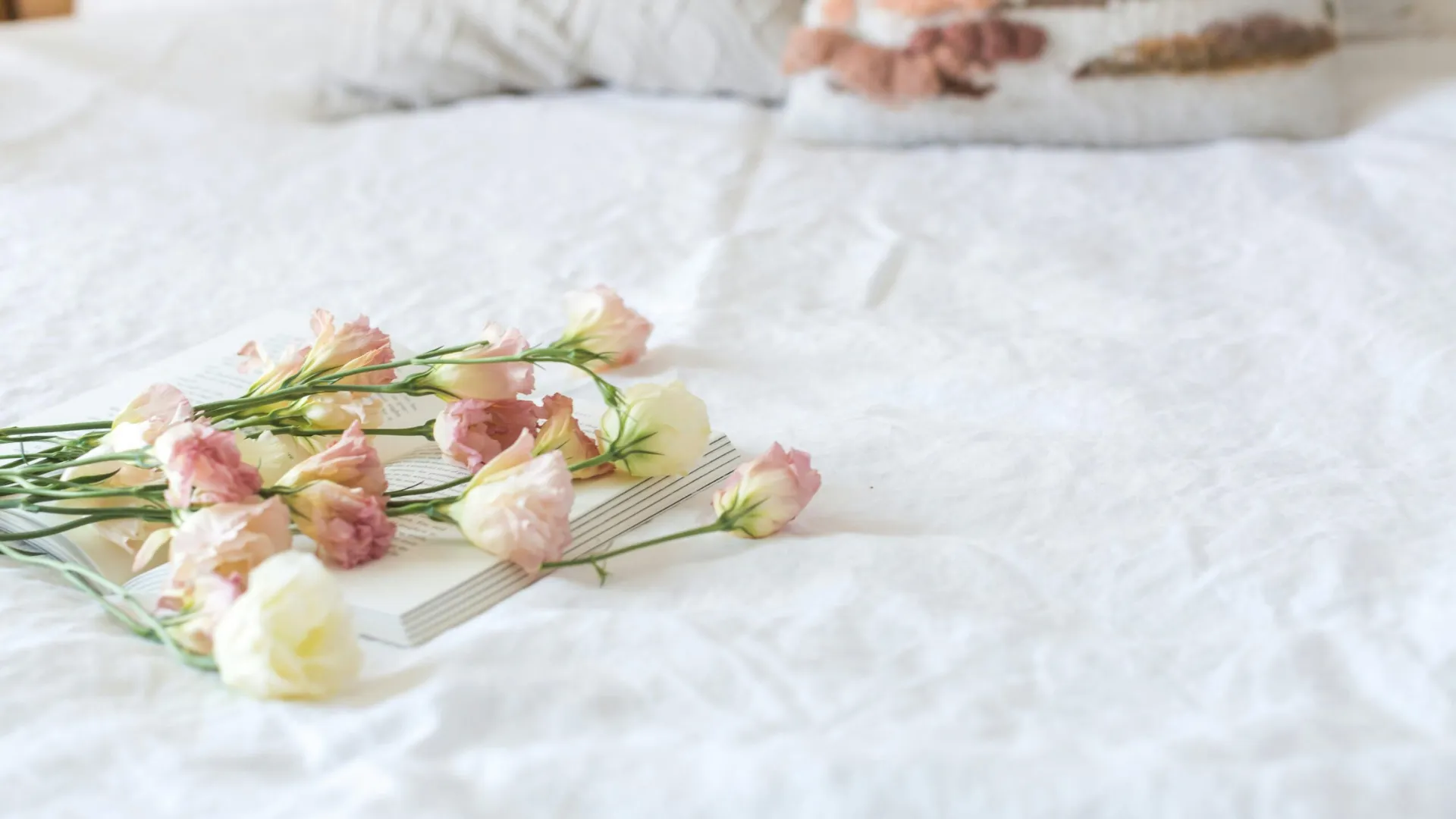 Valentine’s Day A New Way to Find Lasting Love